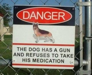 The Dog Has A Gun